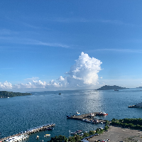 窄桥龟
